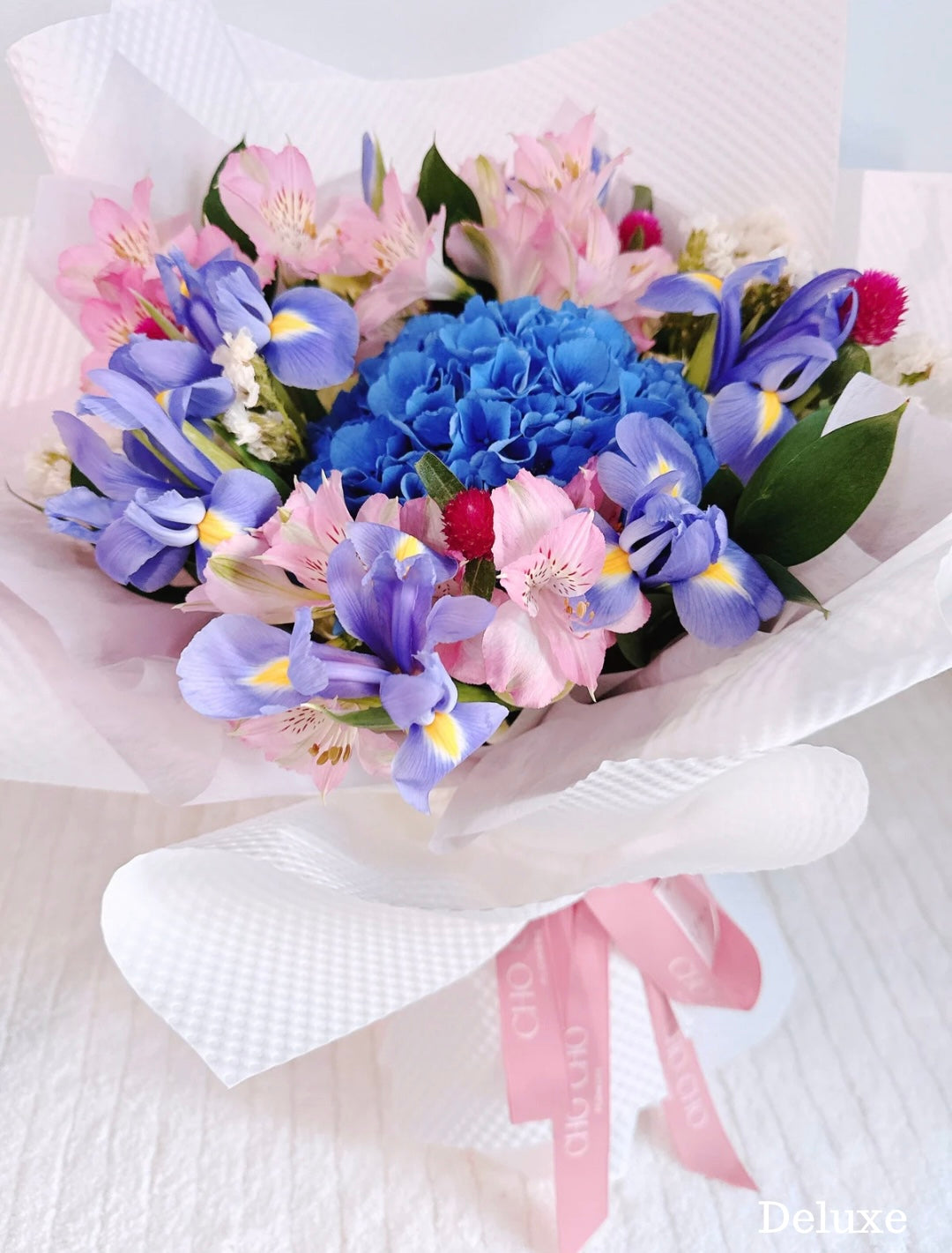 Garden Hydrangea